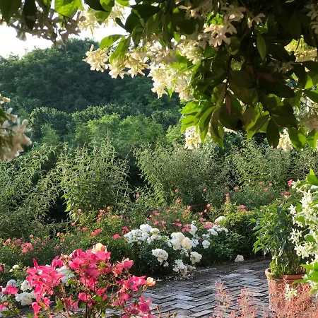 Country house Bricco Dei Cogni
