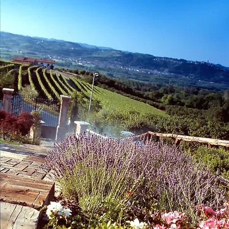 Bricco Dei Cogni La Morra