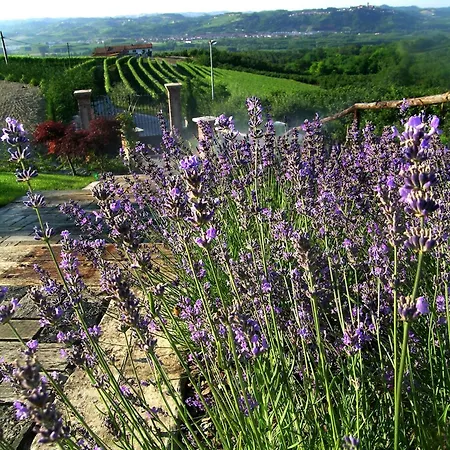 Bricco Dei Cogni La Morra