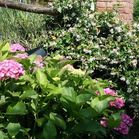 Bricco Dei Cogni La Morra